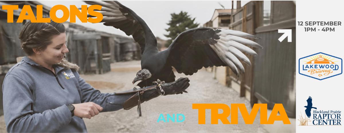 North Texas Giving Day - Talons & Trivia