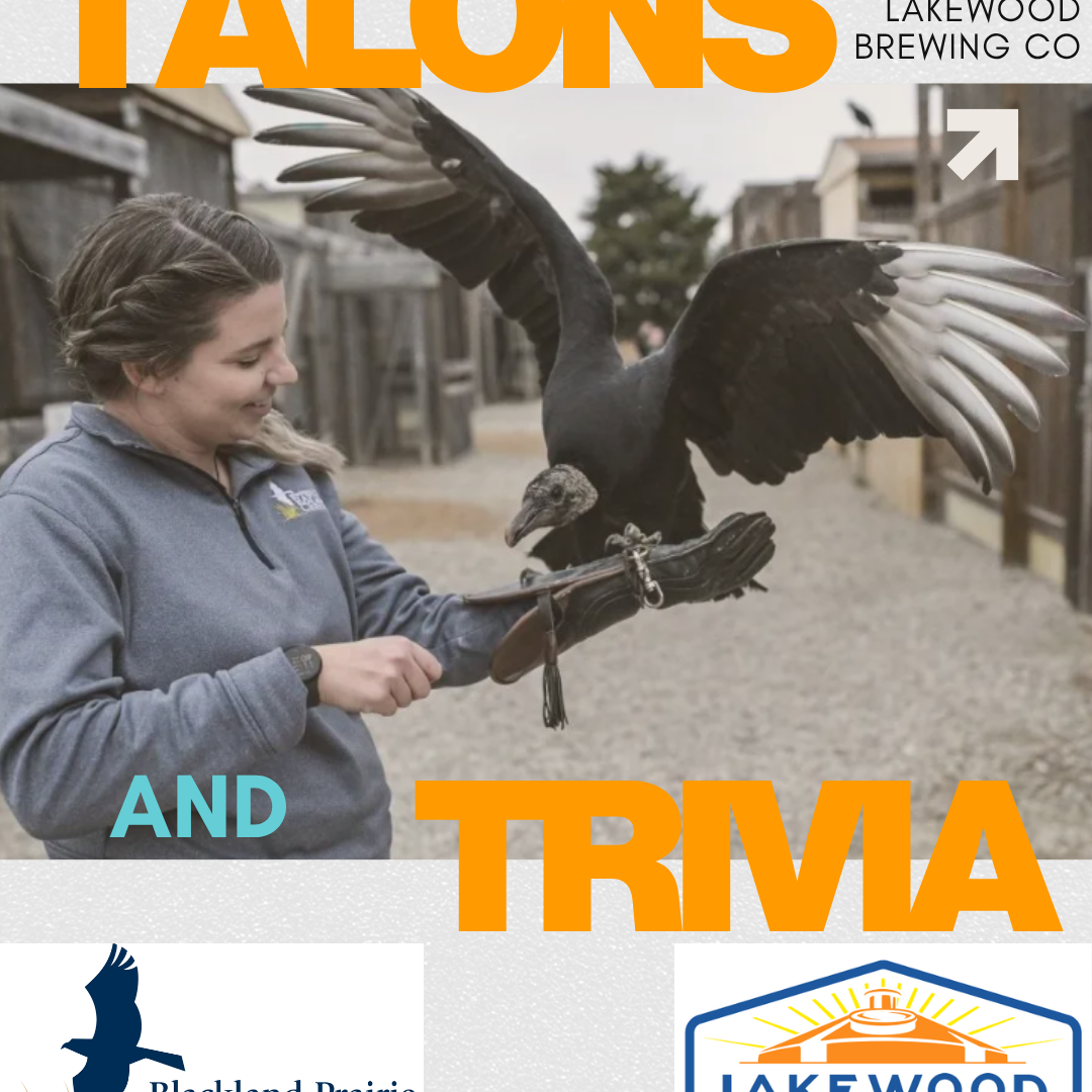 North Texas Giving Day - Talons & Trivia - logo